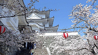p3303894_thumb.jpg