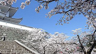p3303897_thumb.jpg