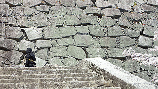 p3303898_thumb.jpg