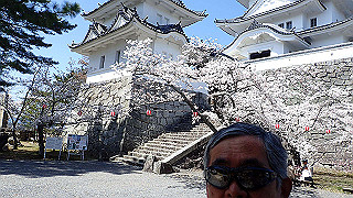 p3303903_thumb.jpg