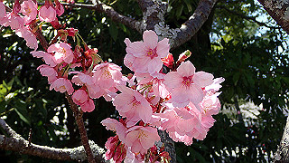 p3303907_thumb.jpg