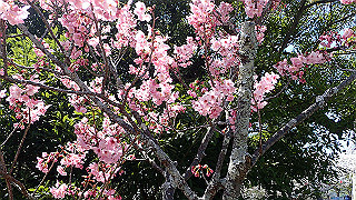 p3303908_thumb.jpg