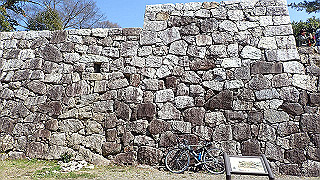 p3303915_thumb.jpg