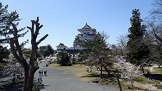 p3303916_thumb.jpg