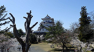 p3303917_thumb.jpg