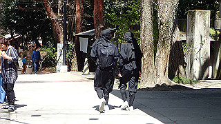 p3303923_thumb.jpg