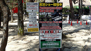 p3303924_thumb.jpg