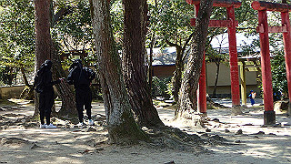 p3303925_thumb.jpg