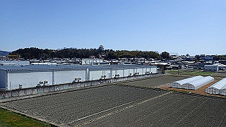 p3303931_thumb.jpg