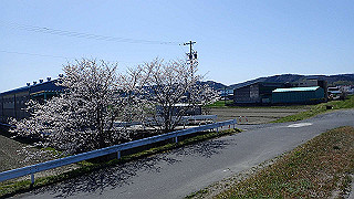 p3303935_thumb.jpg