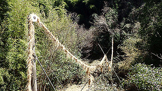 p3303938_thumb.jpg