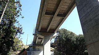 p3303949_thumb.jpg