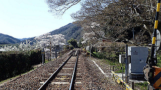 p3303952_thumb.jpg