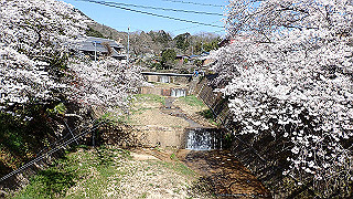 p3303954_thumb.jpg