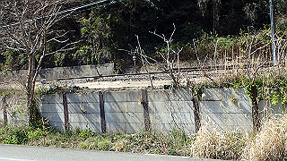 p3303959_thumb.jpg
