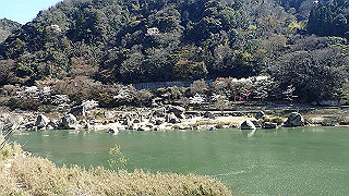 p3303971_thumb.jpg
