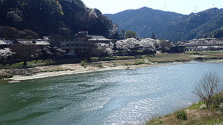 p3303973_thumb.jpg