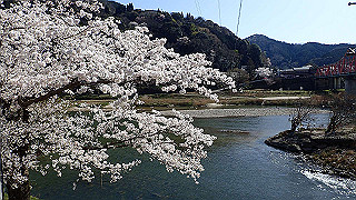 p3303976_thumb.jpg