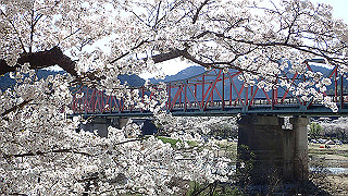 p3303977_thumb.jpg