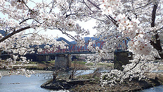 p3303979_thumb.jpg