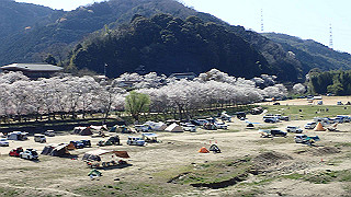 p3303988_thumb.jpg