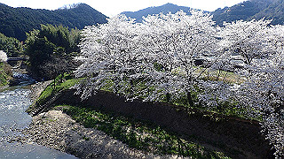 p3303993_thumb.jpg