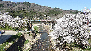 p3303995_thumb.jpg