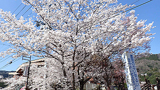 p3303996_thumb.jpg