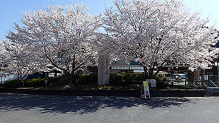 p3303998_thumb.jpg