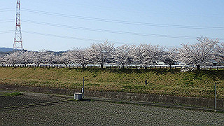 p3304020_thumb.jpg