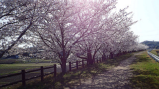p3304022_thumb.jpg