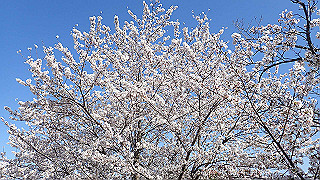 p3304023_thumb.jpg