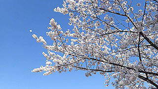 p3304024_thumb.jpg