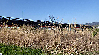 p3304027_thumb.jpg