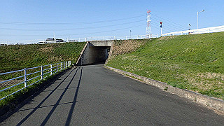 p3304030_thumb.jpg