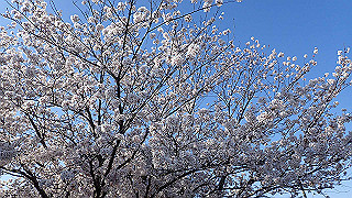 p3304033_thumb.jpg