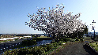 p3304042_thumb.jpg