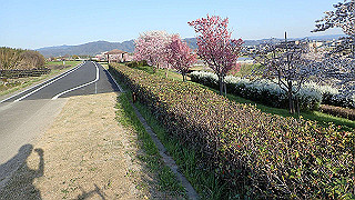 p3304043_thumb.jpg