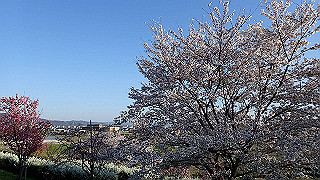 p3304044_thumb.jpg