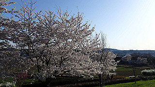 p3304045_thumb.jpg