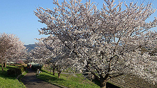 p3304046_thumb.jpg