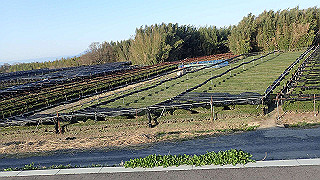 p3304047_thumb.jpg