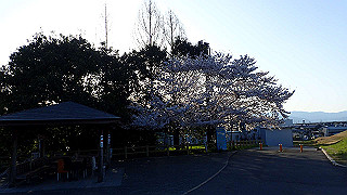 p3304053_thumb.jpg