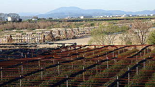 p3304055_thumb.jpg