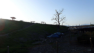p3304059_thumb.jpg