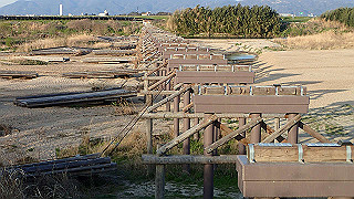 p3304061_thumb.jpg