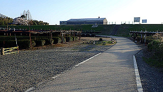 p3304063_thumb.jpg