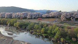 p3304068_thumb.jpg
