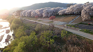 p3304069_thumb.jpg