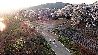 p3304070_thumb.jpg